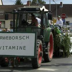 Griesemer Kerb 2008: Umzug durch Griesheim