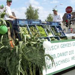 Griesemer Kerb 2008: Umzug durch Griesheim