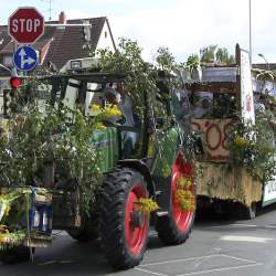 Griesemer Kerb 2008: Umzug durch Griesheim