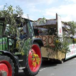 Griesemer Kerb 2008: Umzug durch Griesheim