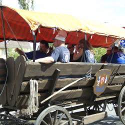 Griesemer Kerb 2008: Umzug durch Griesheim