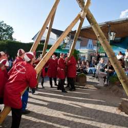 Kerb 2009 in Griesheim: Baumstellen am Donauschwabenhof