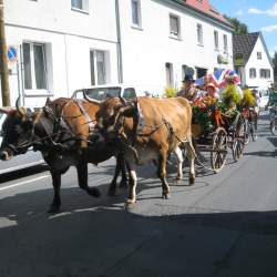 Kerb 2009 in Griesheim: Umzug