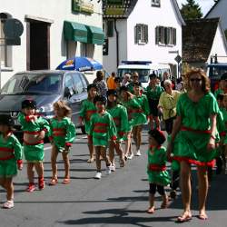 Kerb 2009 in Griesheim: Umzug