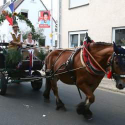 Kerb 2009 in Griesheim: Umzug