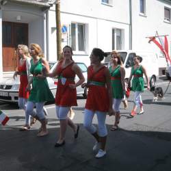 Kerb 2009 in Griesheim: Umzug