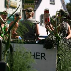 Kerb 2009 in Griesheim: Umzug