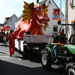 Kerb 2009 in Griesheim: Umzug