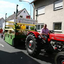 Kerb 2009 in Griesheim: Umzug