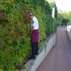 2005: Kerb in Griesheim