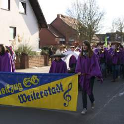 3.2.2008: Umzug in Bttelborn (Fasching)