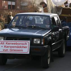 3.2.2008: Umzug in Bttelborn (Fasching)