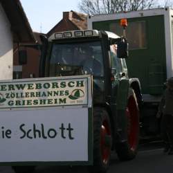 3.2.2008: Umzug in Bttelborn (Fasching)