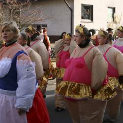 3.2.2008: Umzug in Bttelborn (Fasching)