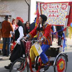 3.2.2008: Umzug in Bttelborn (Fasching)