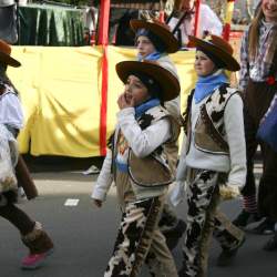 3.2.2008: Umzug in Bttelborn (Fasching)