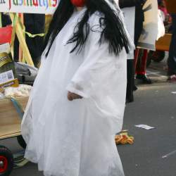 3.2.2008: Umzug in Bttelborn (Fasching)