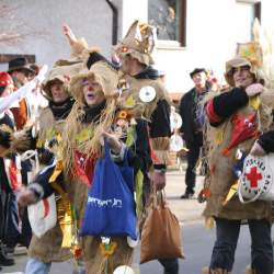 3.2.2008: Umzug in Bttelborn (Fasching)