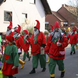 3.2.2008: Umzug in Bttelborn (Fasching)