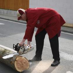 Kerb 2008 in Griesheim: Baumstellen am Donauschwabenhof