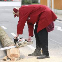 Kerb 2008 in Griesheim: Baumstellen am Donauschwabenhof