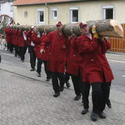 Kerb 2008 in Griesheim: Baumstellen am Donauschwabenhof