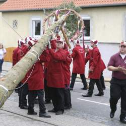 Kerb 2008 in Griesheim: Baumstellen am Donauschwabenhof