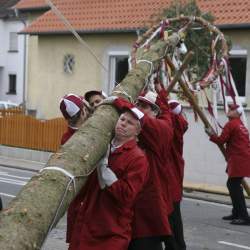 Kerb 2008 in Griesheim: Baumstellen am Donauschwabenhof