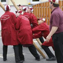 Kerb 2008 in Griesheim: Baumstellen am Donauschwabenhof