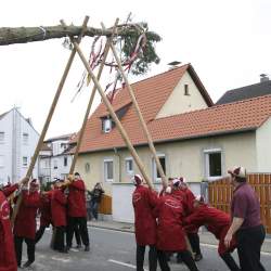 Kerb 2008 in Griesheim: Baumstellen am Donauschwabenhof