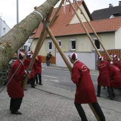 Kerb 2008 in Griesheim: Baumstellen am Donauschwabenhof