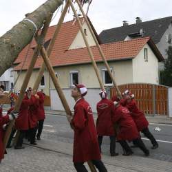 Kerb 2008 in Griesheim: Baumstellen am Donauschwabenhof