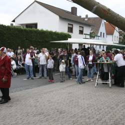 Kerb 2008 in Griesheim: Baumstellen am Donauschwabenhof