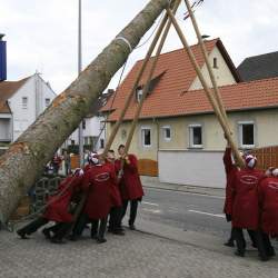 Kerb 2008 in Griesheim: Baumstellen am Donauschwabenhof