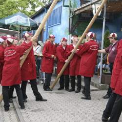 Kerb 2008 in Griesheim: Baumstellen am Donauschwabenhof