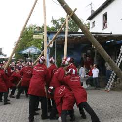 Kerb 2008 in Griesheim: Baumstellen am Donauschwabenhof