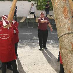 Kerb 2008 in Griesheim: Baumstellen am Donauschwabenhof