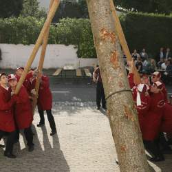 Kerb 2008 in Griesheim: Baumstellen am Donauschwabenhof