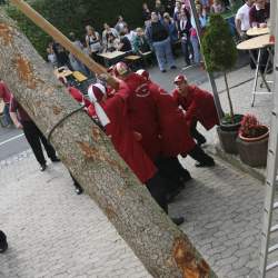 Kerb 2008 in Griesheim: Baumstellen am Donauschwabenhof