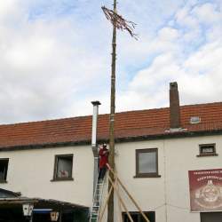 Kerb 2008 in Griesheim: Baumstellen am Donauschwabenhof