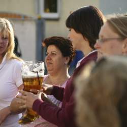 Kerb 2008 in Griesheim: Baumstellen am Donauschwabenhof