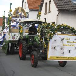 Griesemer Kerb 2008: Umzug durch Griesheim