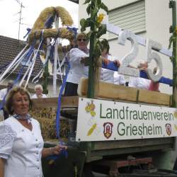 Griesemer Kerb 2008: Umzug durch Griesheim