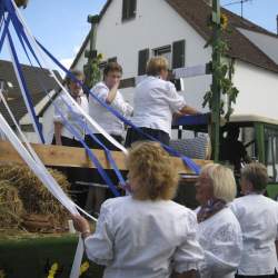 Griesemer Kerb 2008: Umzug durch Griesheim