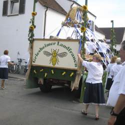 Griesemer Kerb 2008: Umzug durch Griesheim