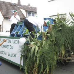 Griesemer Kerb 2008: Umzug durch Griesheim