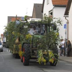 Griesemer Kerb 2008: Umzug durch Griesheim