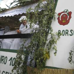 Griesemer Kerb 2008: Umzug durch Griesheim