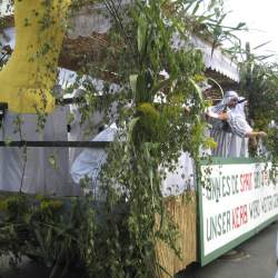 Griesemer Kerb 2008: Umzug durch Griesheim