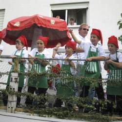 Griesemer Kerb 2008: Umzug durch Griesheim